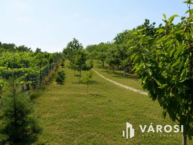 Gondozott gyümölcsös+építési lehetőség egy helyen Sárváron
